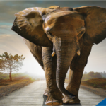 MCI Travel Division – Agência de Viagens
