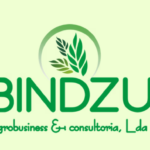 BINDZU