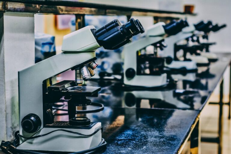 LAC, Lda.  Laboratório de Análises Clínicas e Centro Médico