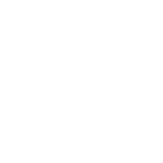 Intelity